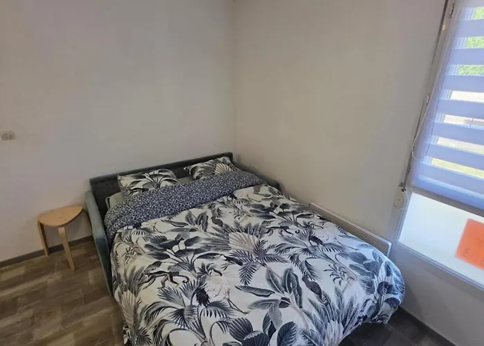 En Face De La Fac De Droit Douai